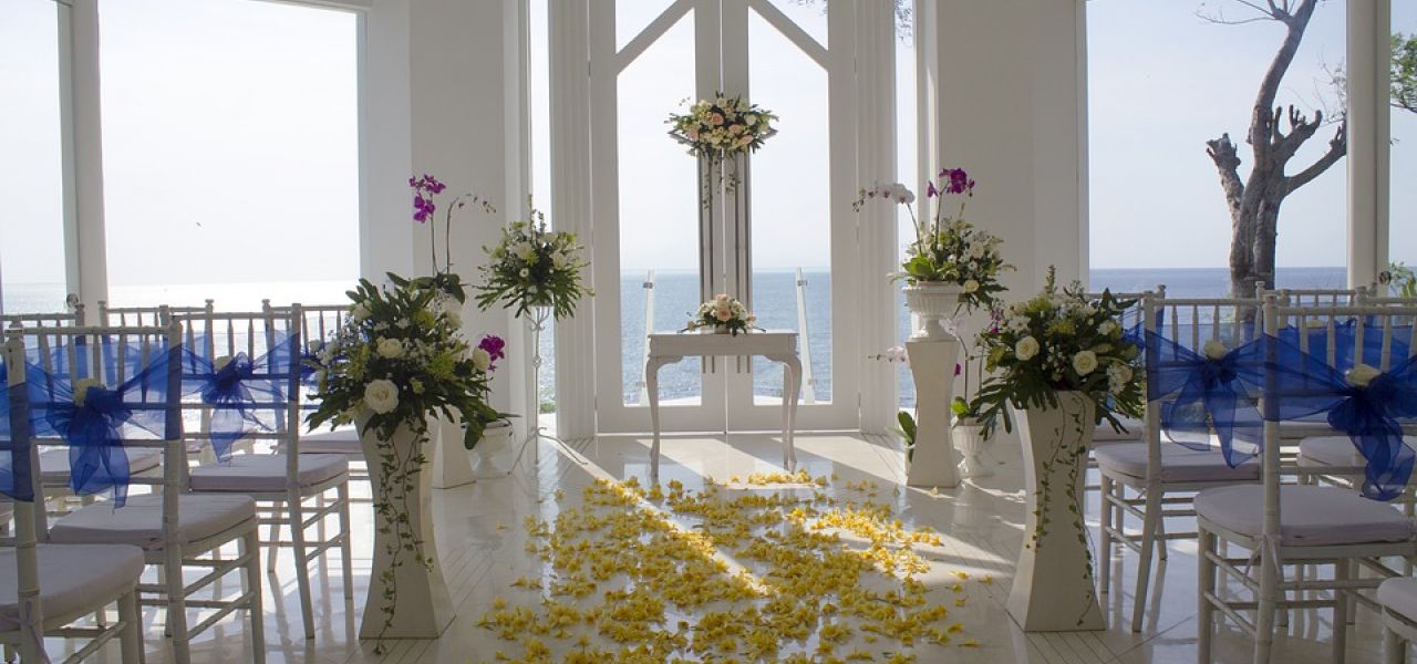 ORGANİZASYON