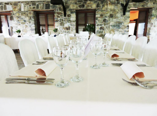 ORGANİZASYON